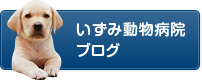 いずみ動物病院ブログ