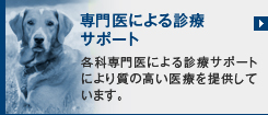 専門医による診療サポート