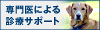 専門医による診療サポート
