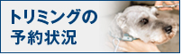 トリミングの予約状況