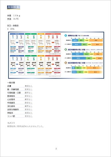 調査報告 身体調査