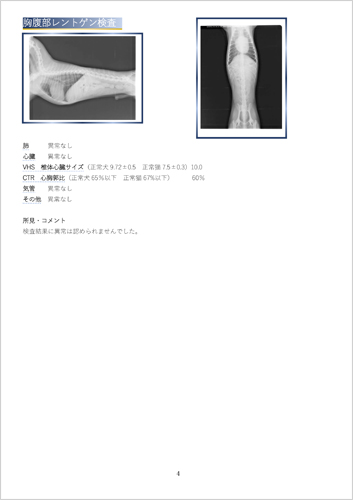 調査報告 胸腹部レントゲン調査