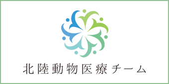 北陸動物医療チーム