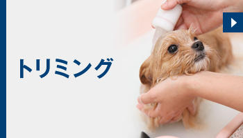 トリミング
