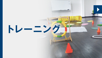 トレーーニング
