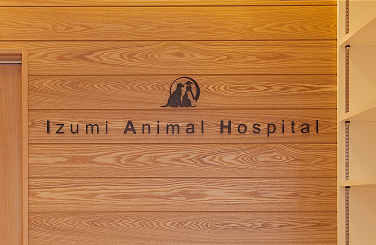 いずみ動物病院