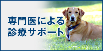 専門医による診療サポート