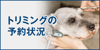 トリミングの予約状況